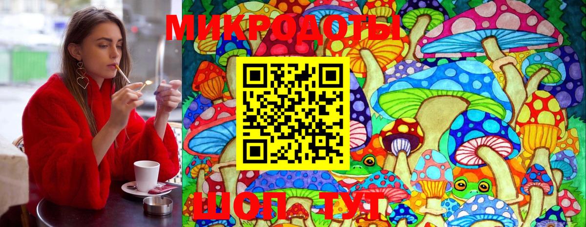 Псилоцибиновые грибы мицелий Калининград
