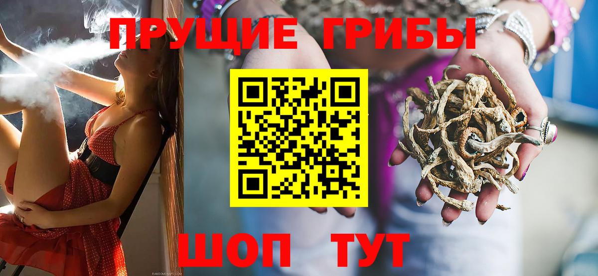 APVP Калининград